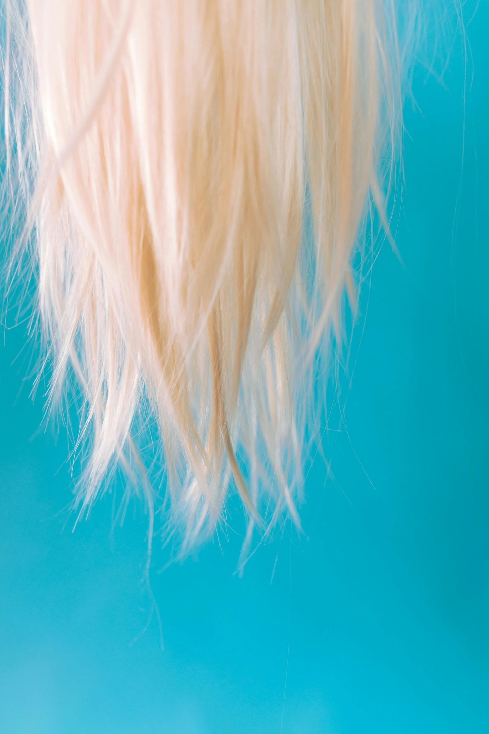 a close up of a woman's hair blowing in the wind, an album cover, inspired by Elsa Bleda, conceptual art, gradient cyan, medium length white hair, clemens ascher, taken in the late 2010s