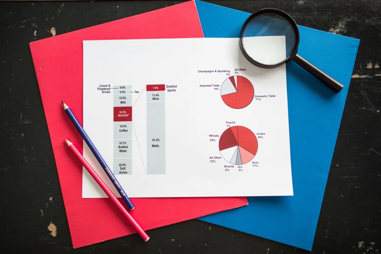 a piece of paper sitting on top of a table next to a magnifying glass, a diagram, by Nina Hamnett, unsplash, analytical art, red and blue color scheme, bar charts, copic markers, high resolution print :1 red