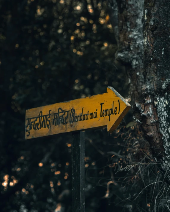 a yellow street sign sitting next to a tree, by Kristian Zahrtmann, pexels contest winner, indian temple, forest details, half image