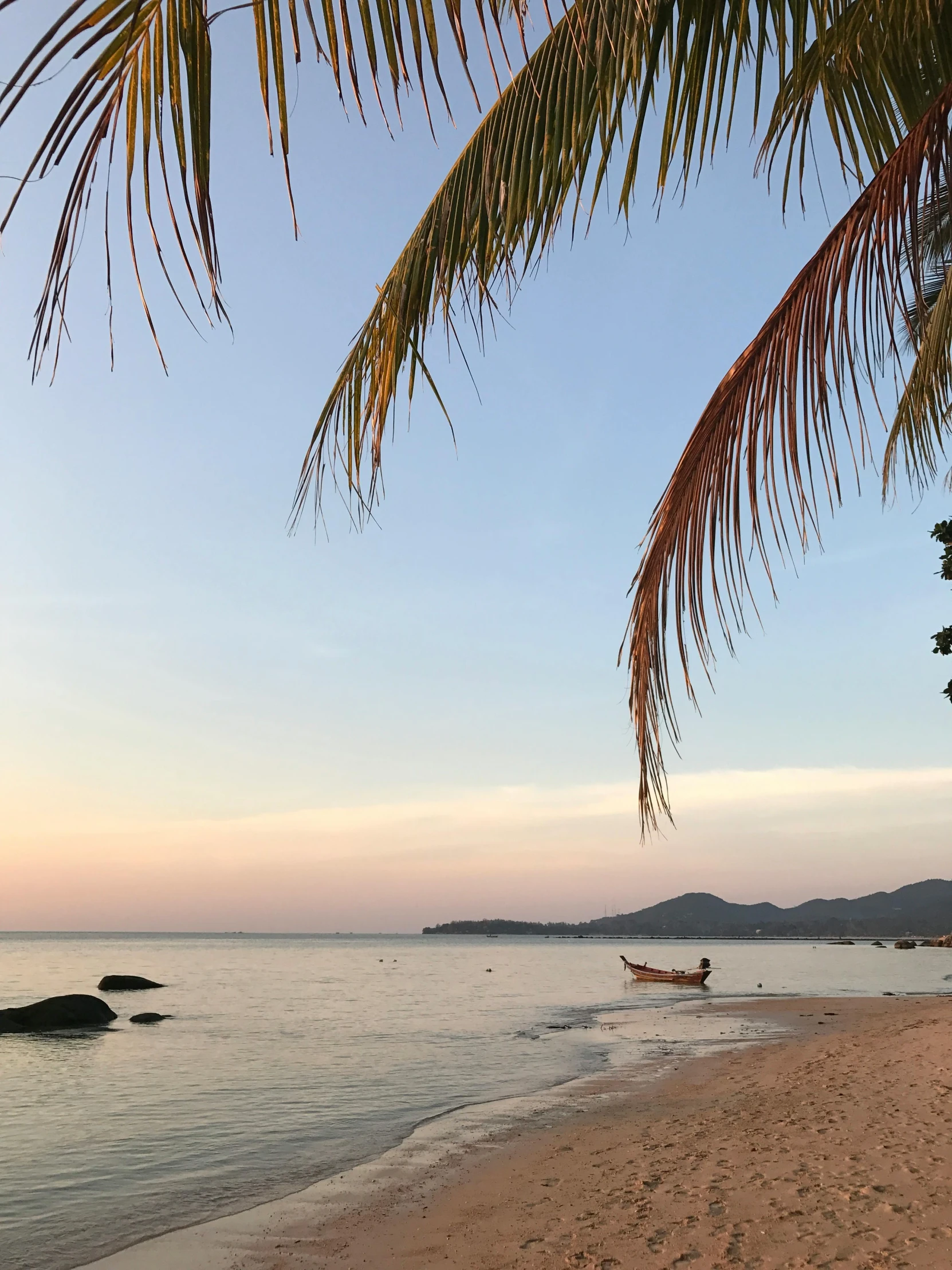 a palm tree sitting on top of a beach next to a body of water, evening time, fishing village