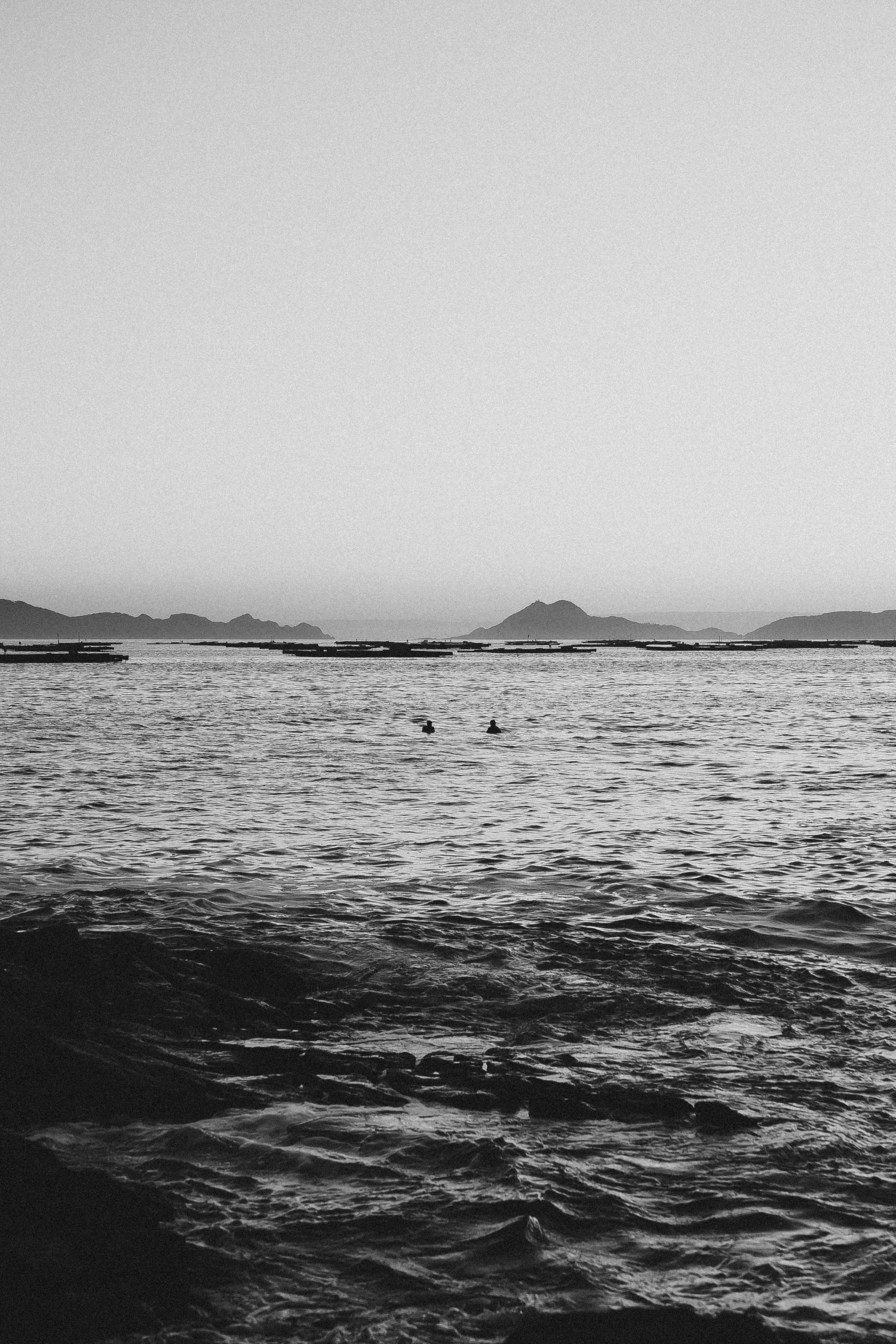 a black and white photo of a body of water, seals, medium format, :: morning, islands