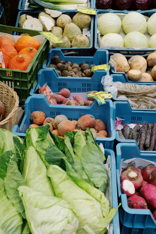 a table filled with lots of different types of vegetables, square, blue, ue marketplace, german