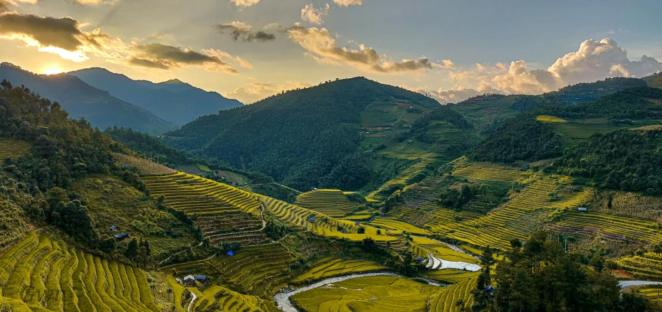 a river running through a lush green valley, by Daniel Lieske, pexels contest winner, renaissance, rice paddies, radiating golden light, panoramic, overlooking a valley