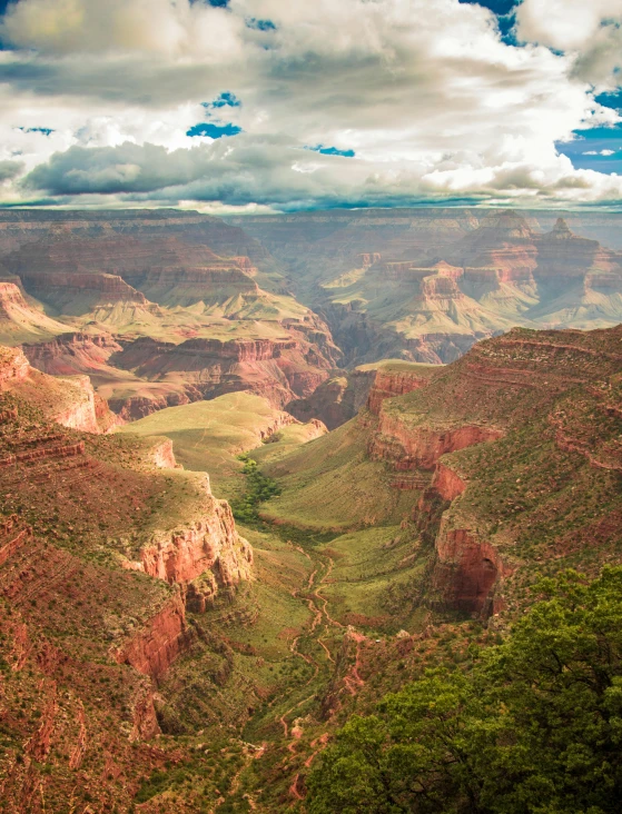 a view of the grand canyon from the top of a hill, pexels contest winner, hudson river school, red peaks in the background, lush landscape, award winning color photo, a gigantic