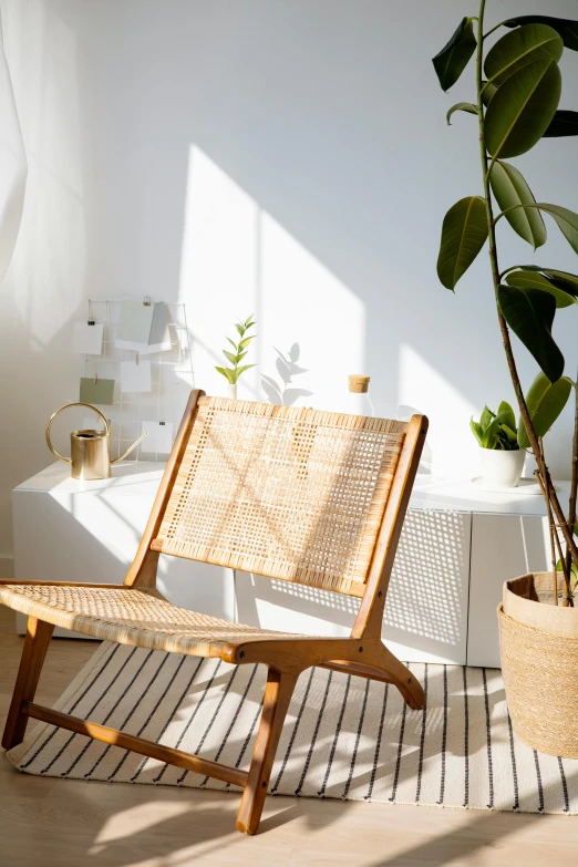 a wooden chair sitting next to a potted plant, inspired by Constantin Hansen, trending on unsplash, light and space, cream - colored room, sun flare, japanese collection product, canopee