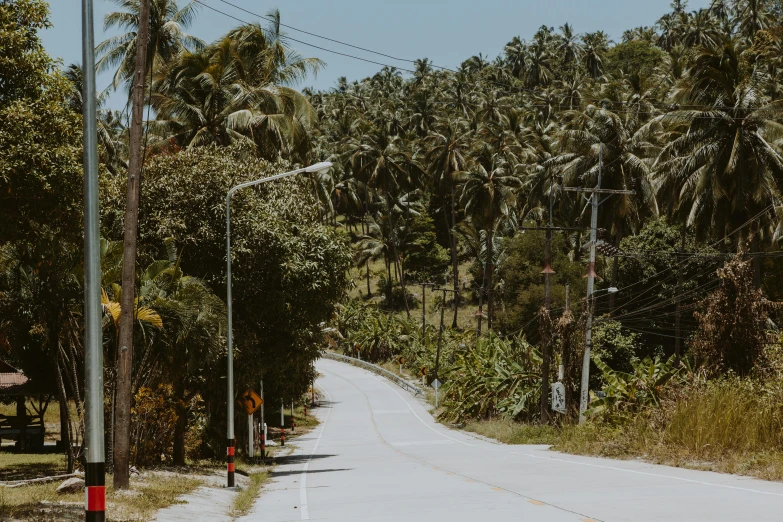 a man riding a skateboard down a curvy road, by Andrée Ruellan, pexels contest winner, sumatraism, coconut palms, background image, secretly on a village, 1970s philippines