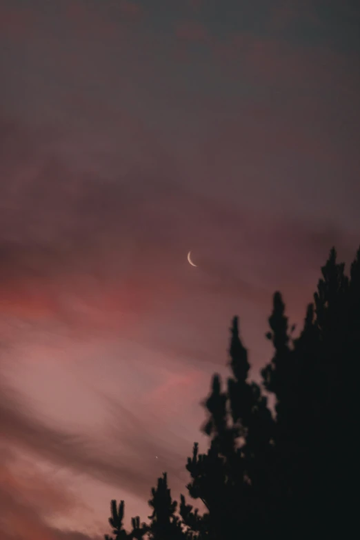 a crescent in the sky with trees in the foreground, a picture, unsplash contest winner, aestheticism, pink cloud bokeh, moody dim faint lighting, pale beige sky, tall