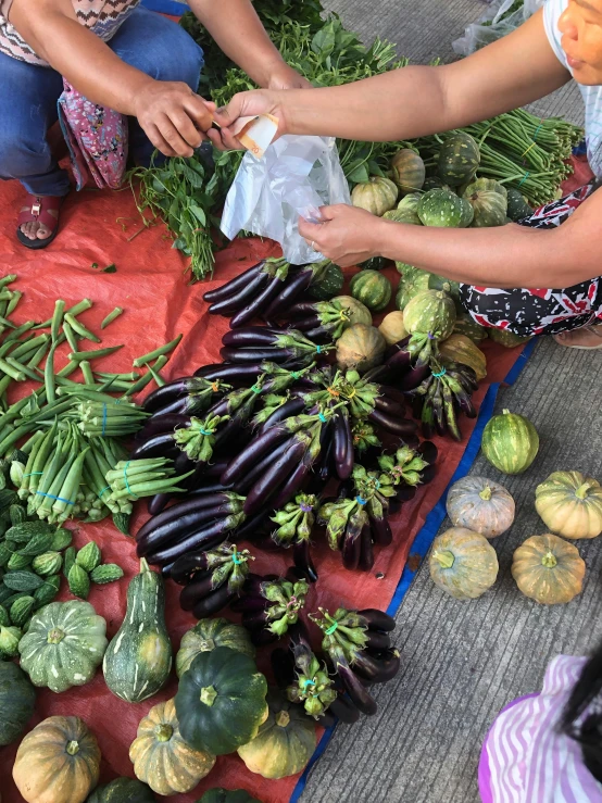 a group of people sitting around a table filled with fruits and vegetables, eggplant, manila, square, various sizes