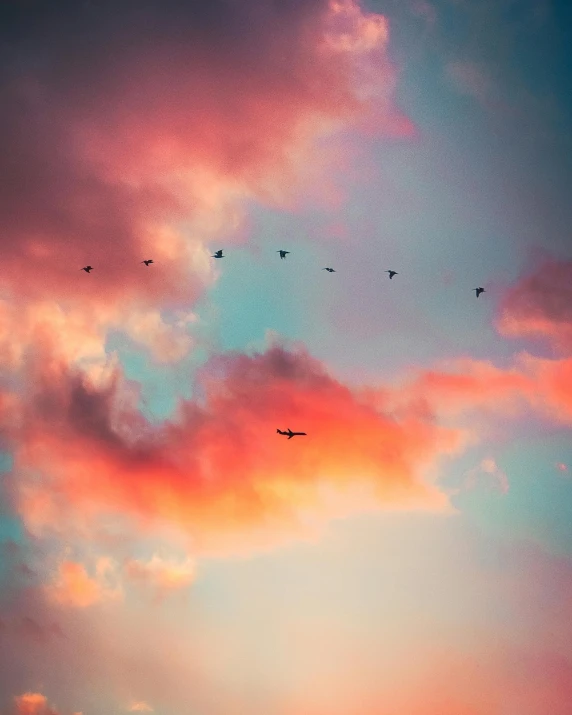 a flock of birds flying through a cloudy sky, an album cover, inspired by Elsa Bleda, pexels contest winner, colorful sunset!!, lo fi colors, gliding, serene colors