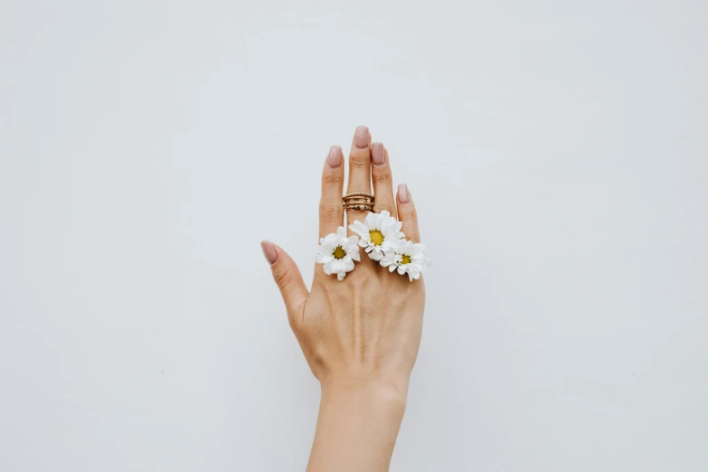 a woman's hand holding a bunch of daisies, by Emma Andijewska, trending on pexels, minimalism, shaped like torus ring, white backdrop, background image, nail art
