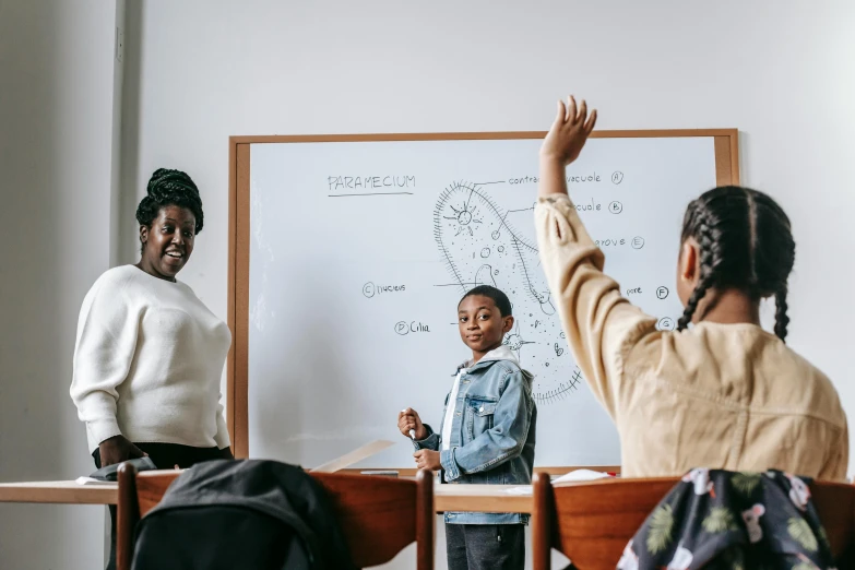 a group of children sitting at desks in front of a whiteboard, by Carey Morris, pexels contest winner, photo of a black woman, praised, jovana rikalo, skies behind