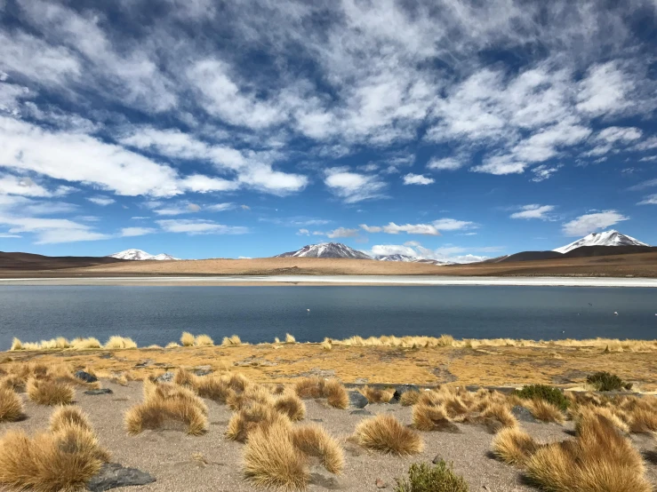 a large body of water surrounded by dry grass, pexels contest winner, andes, fan favorite, dessert, bilquis evely