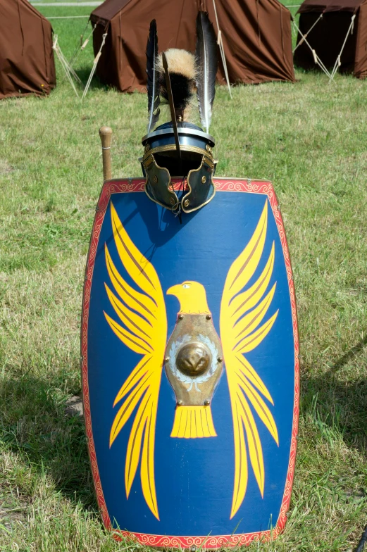 a close up of a shield with a bird on it, historical reenactment, standing straight, wearing imperial gear, roman setting