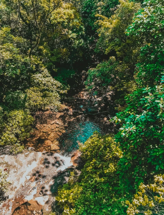 a river running through a lush green forest, a screenshot, pexels contest winner, hurufiyya, next to a tropical pool, high view, details and vivid colors, puerto rico
