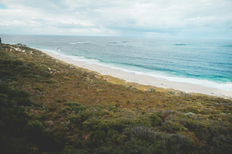 a view of a beach from the top of a hill, unsplash contest winner, “ iron bark, 2 5 6 x 2 5 6 pixels, slight overcast, high quality image