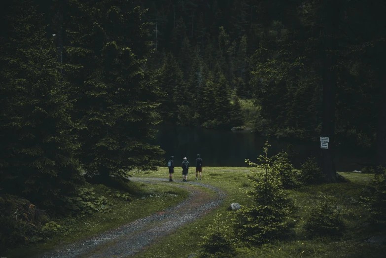 two people walking down a path in the woods, pexels contest winner, dark green water, mountain lake, sport, lo-fi