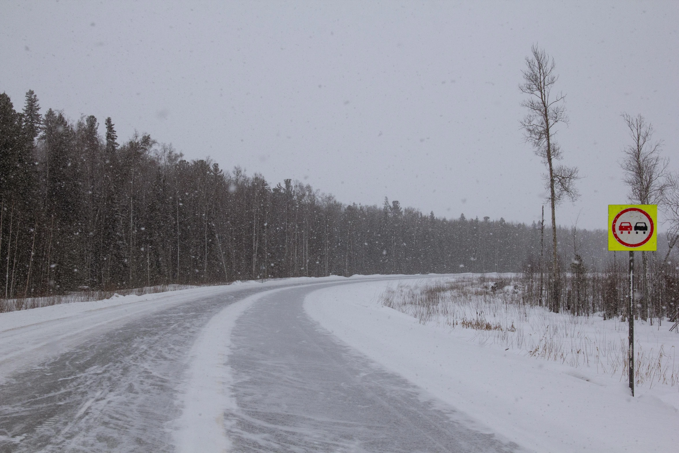 a stop sign sitting on the side of a snow covered road, by Ryan Pancoast, hurufiyya, in an arctic forest, gray sky, thumbnail, listing image