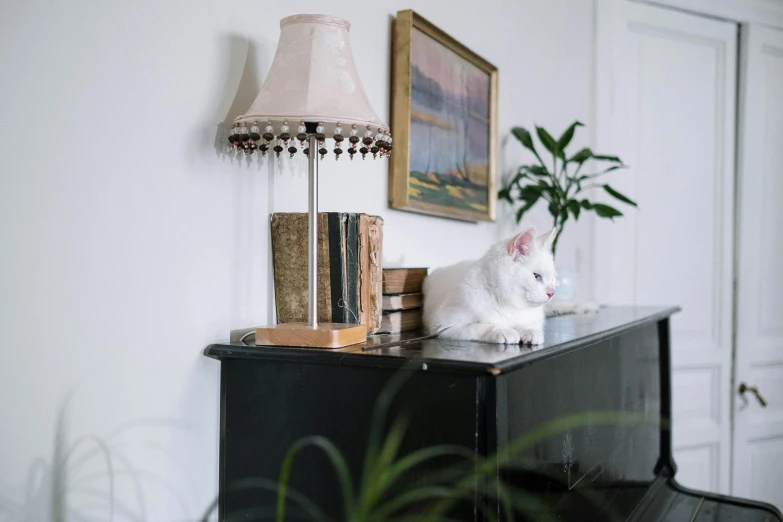 a white cat sitting on top of a piano, an album cover, unsplash, lamps, french provincial furniture, cat tower, fully functional