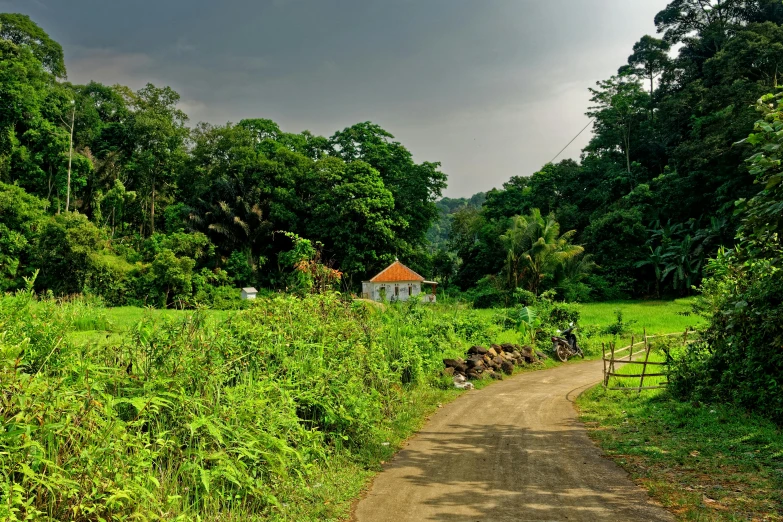 a dirt road running through a lush green field, sumatraism, with kerala motifs, conde nast traveler photo