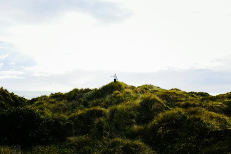 a person standing on top of a grass covered hill, by Jesper Knudsen, unsplash, land art, new zeeland, crosses, near the seashore, plain background