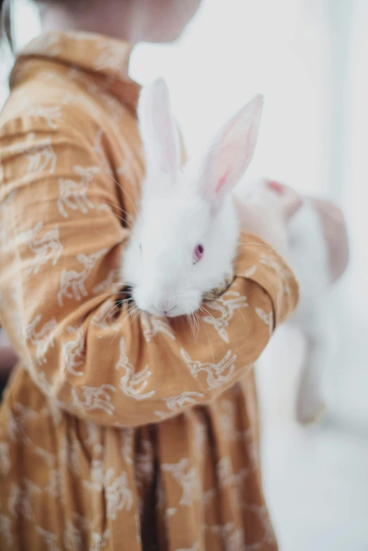 a little girl holding a white rabbit in her hands, trending on unsplash, renaissance, patterned clothing, multiple stories, white and orange, 9