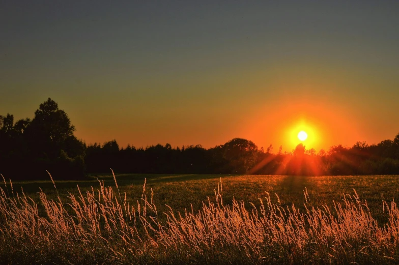 the sun is setting over a field of tall grass, by Jan Tengnagel, pexels contest winner, land art, afternoon time, ((sunset)), sun set, sunset panorama