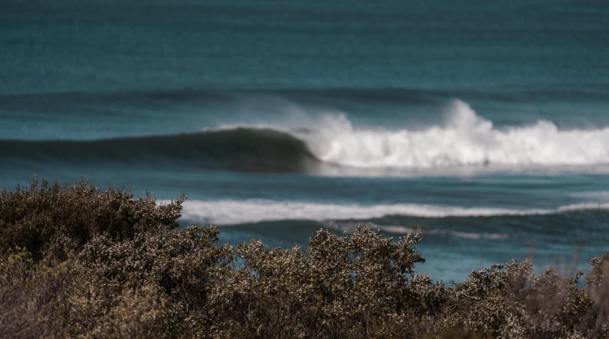 a person riding a surfboard on a wave in the ocean, a tilt shift photo, by Lee Loughridge, unsplash contest winner, bushes in the foreground, bulli, o'neill cylinder colony, photograph of april