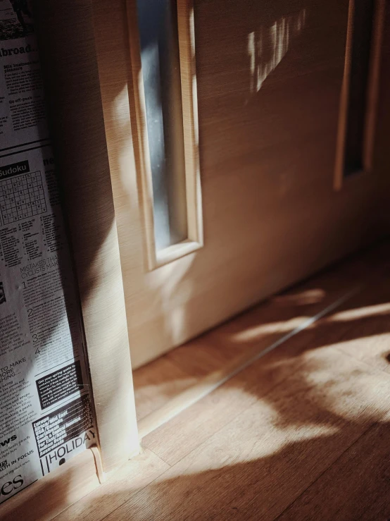 a cat sitting on top of a wooden floor next to a window, by Yasushi Sugiyama, unsplash contest winner, light and space, newspaper, wood door, architectural model, sunlight glistening