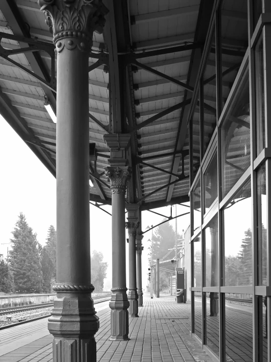 a black and white photo of a train station, a black and white photo, by Kurt Seligmann, art nouveau, tri - x pan stock, misty, porches, 1990 photograph