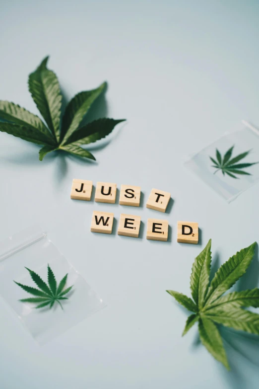 marijuana leaves with the words just weed spelled on them, a cartoon, by Julia Pishtar, trending on pexels, aestheticism, cubes on table, studio photo, ¯_(ツ)_/¯