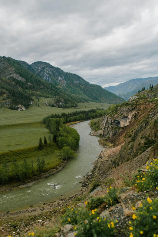 a river running through a lush green valley, by Muggur, hurufiyya, siberia, smug smirk, rip, grey