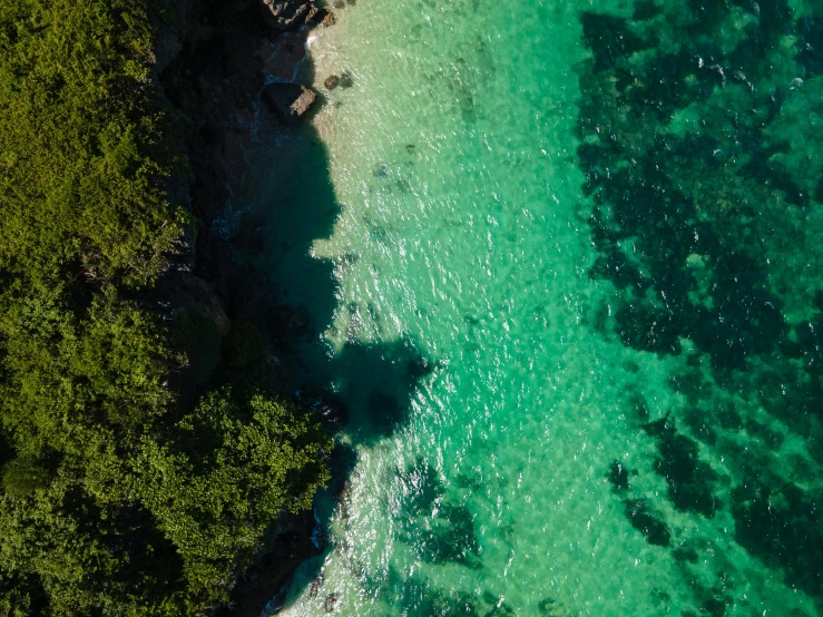 a large body of water next to a lush green forest, a screenshot, by Robbie Trevino, pexels contest winner, hurufiyya, turquoise ocean, sun lighting from above, looking down a cliff, standing on a beach in boracay