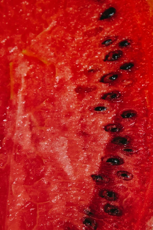 a close up of a slice of watermelon, by Adam Marczyński, hurufiyya, bright red, rectangle, colour photograph, coral red