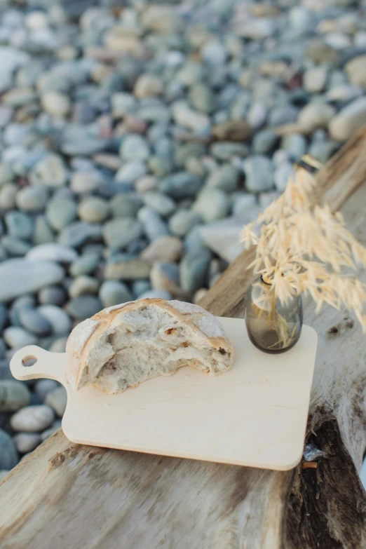 a piece of bread sitting on top of a cutting board, a picture, by Jessie Algie, unsplash, seaside, limestone, whistler, medium shot portrait