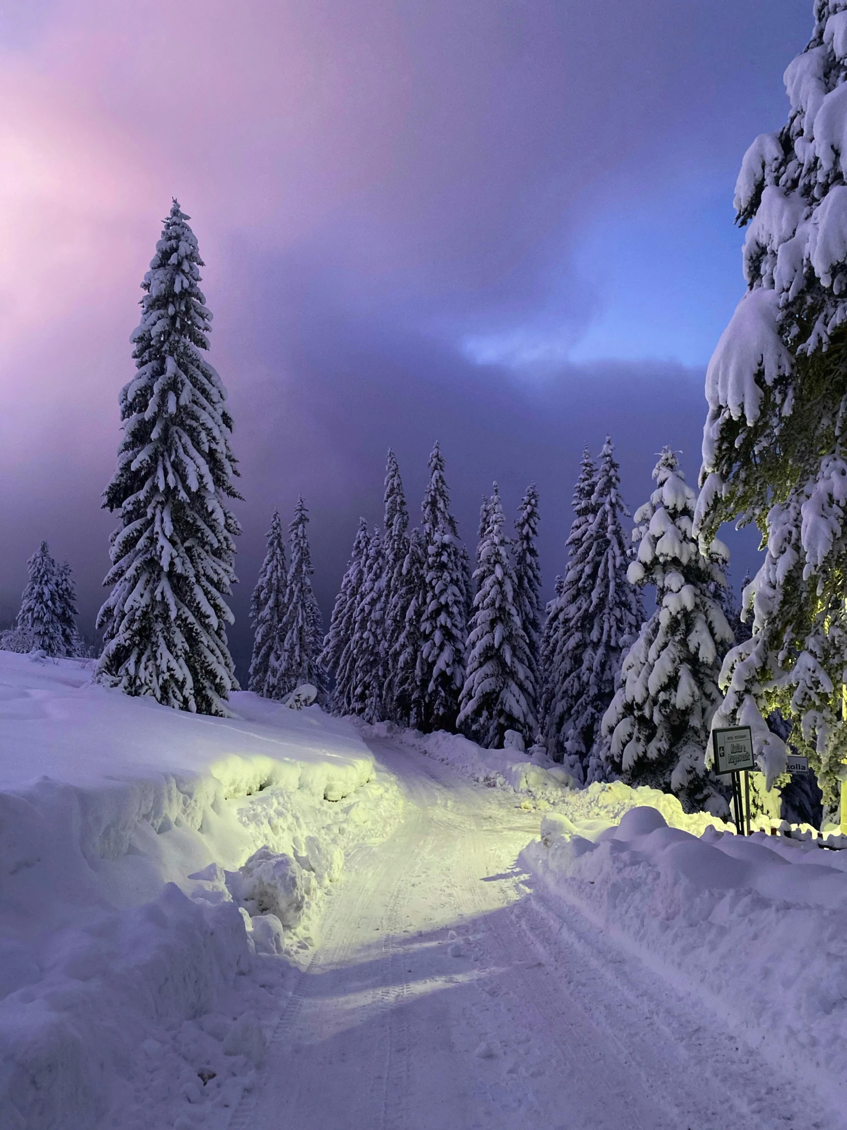 a couple of trees that are in the snow, inspired by Franz Sedlacek, pexels contest winner, dramatic and colorful lighting, fir trees, slide show, cabin lights