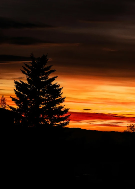 a sunset with a tree in the foreground, by Neil Blevins, pexels contest winner, forest fires in the distance, idaho, 8k resolution”, on black background