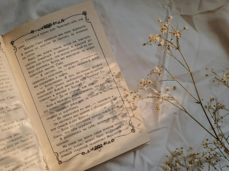 an open book sitting on top of a bed, by Carey Morris, pexels contest winner, romanticism, brown flowers, papyrus, diseno limpio de facil lectura, white