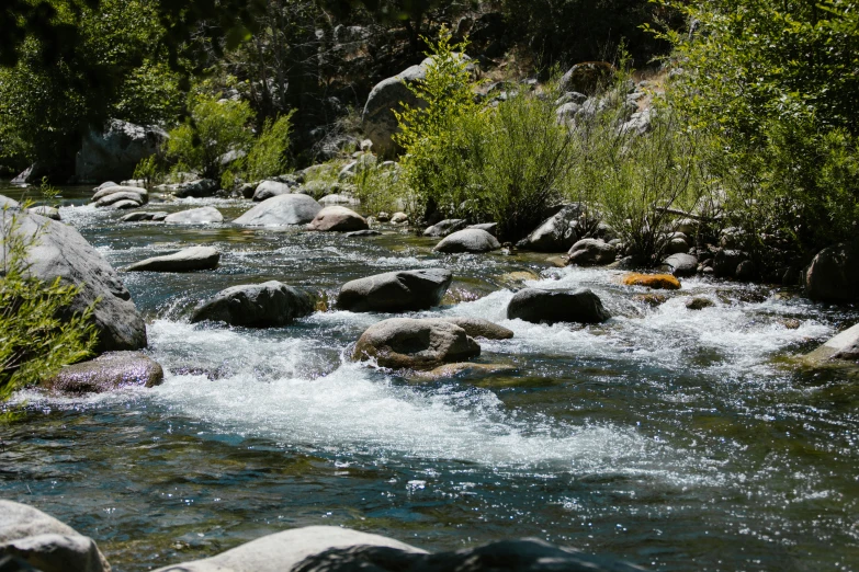 a stream running through a lush green forest, a picture, unsplash, hurufiyya, yosemite, fishing, 2 5 6 x 2 5 6 pixels, white water rapids