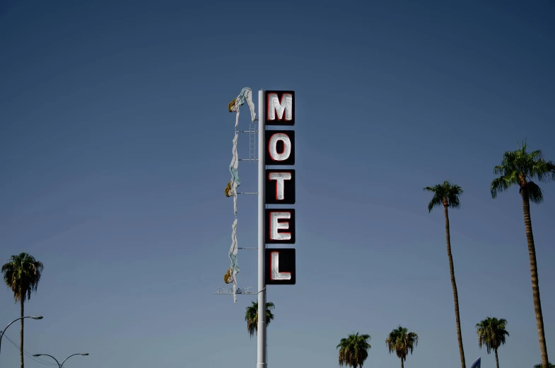 a motel sign with palm trees in the background, a portrait, unsplash, ignant, frank moth, dwell, schools