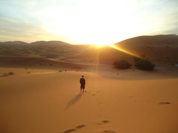 a person walking in the desert at sunset, hurufiyya, intimidating floating sand, sandy colours, lots of sunlight, facing away from the camera