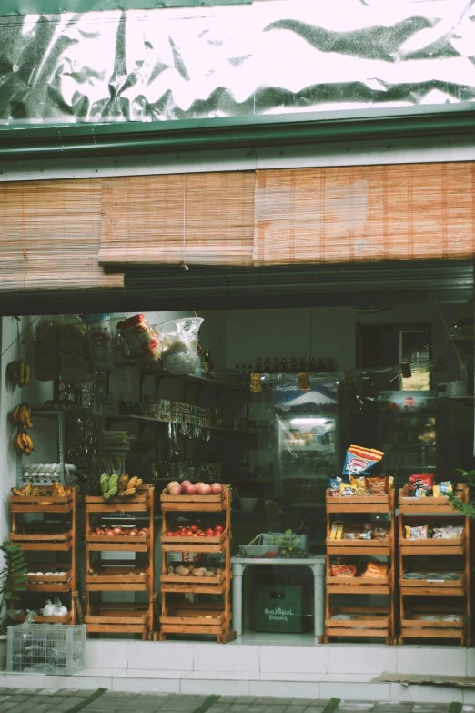 a store front filled with lots of fruit and vegetables, unsplash, greenish expired film, small kitchen, brown, beautiful daylight