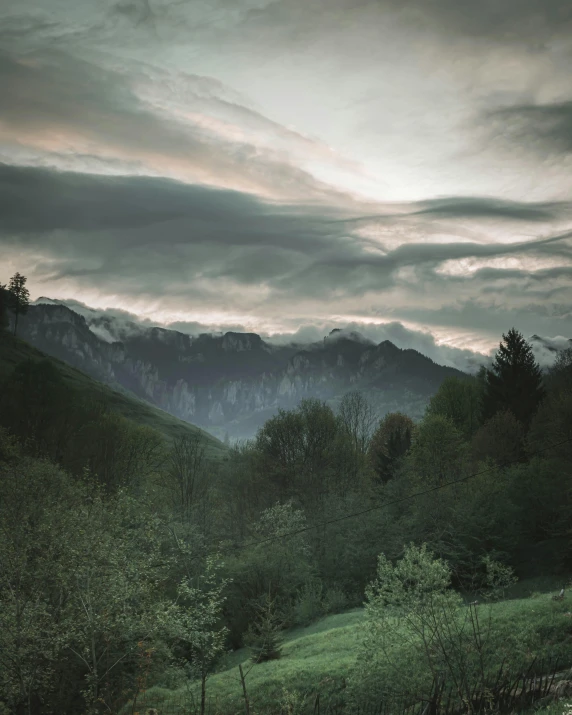 a herd of cattle standing on top of a lush green field, inspired by Elsa Bleda, unsplash contest winner, romanticism, ominous evening, overlooking a valley with trees, mount olympus, grey