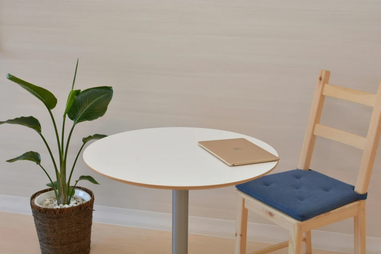 a white table topped with a plant next to a wooden chair, inspired by Constantin Hansen, unsplash, meeting point, circular, couch desk, cafe