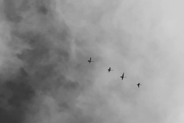 a group of airplanes flying through a cloudy sky, a black and white photo, by Mathias Kollros, unsplash, minimalism, swans, 1024x1024, four, birdeye