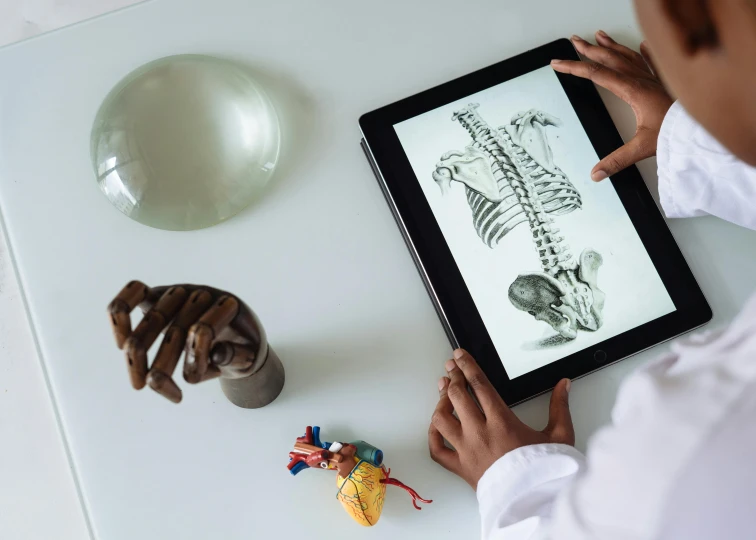 a person looking at a drawing on a tablet, by Joe Bowler, pexels, anatomically correct skeleton, stethoscope, with book of science, black human spine