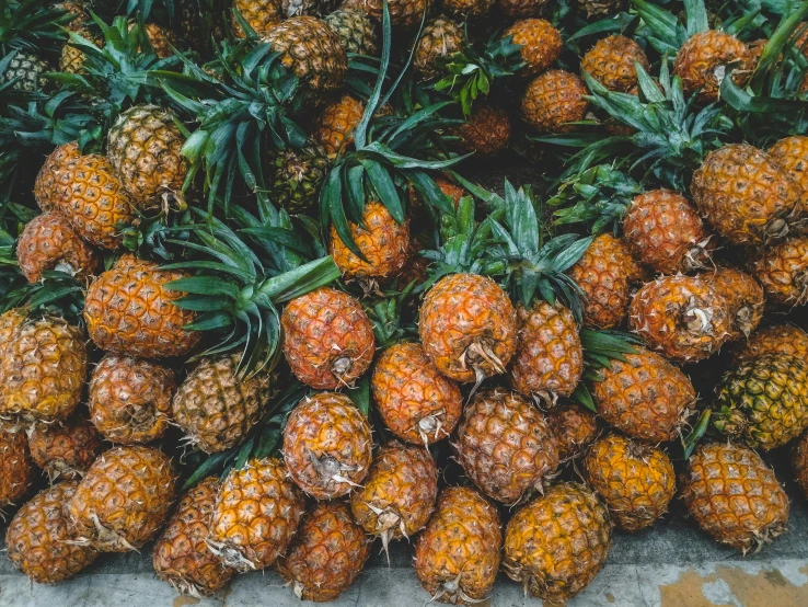 a pile of pineapples sitting on top of a table, unsplash, 🦩🪐🐞👩🏻🦳, vibrant but dreary orange, manila, rows of lush crops