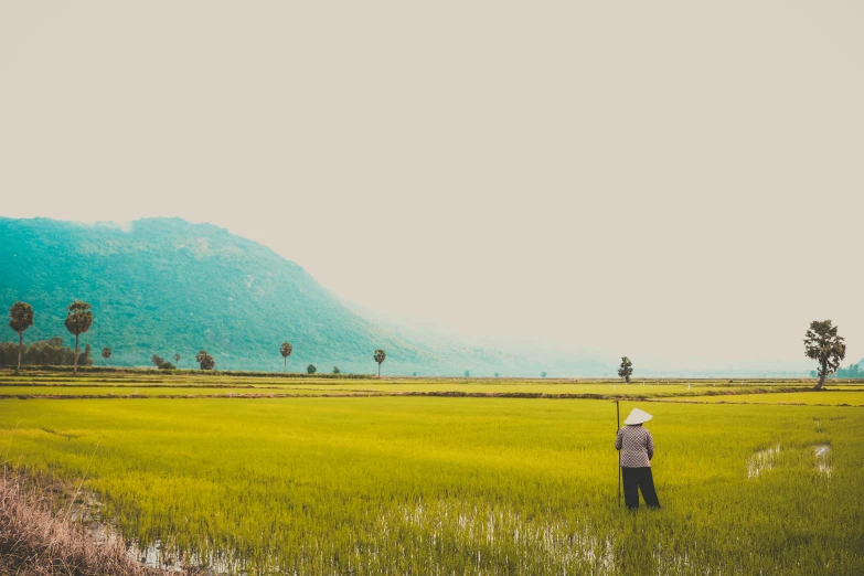 a person standing in a field of green grass, unsplash contest winner, minimalism, vietnam, background image, villagers busy farming, vintage photo