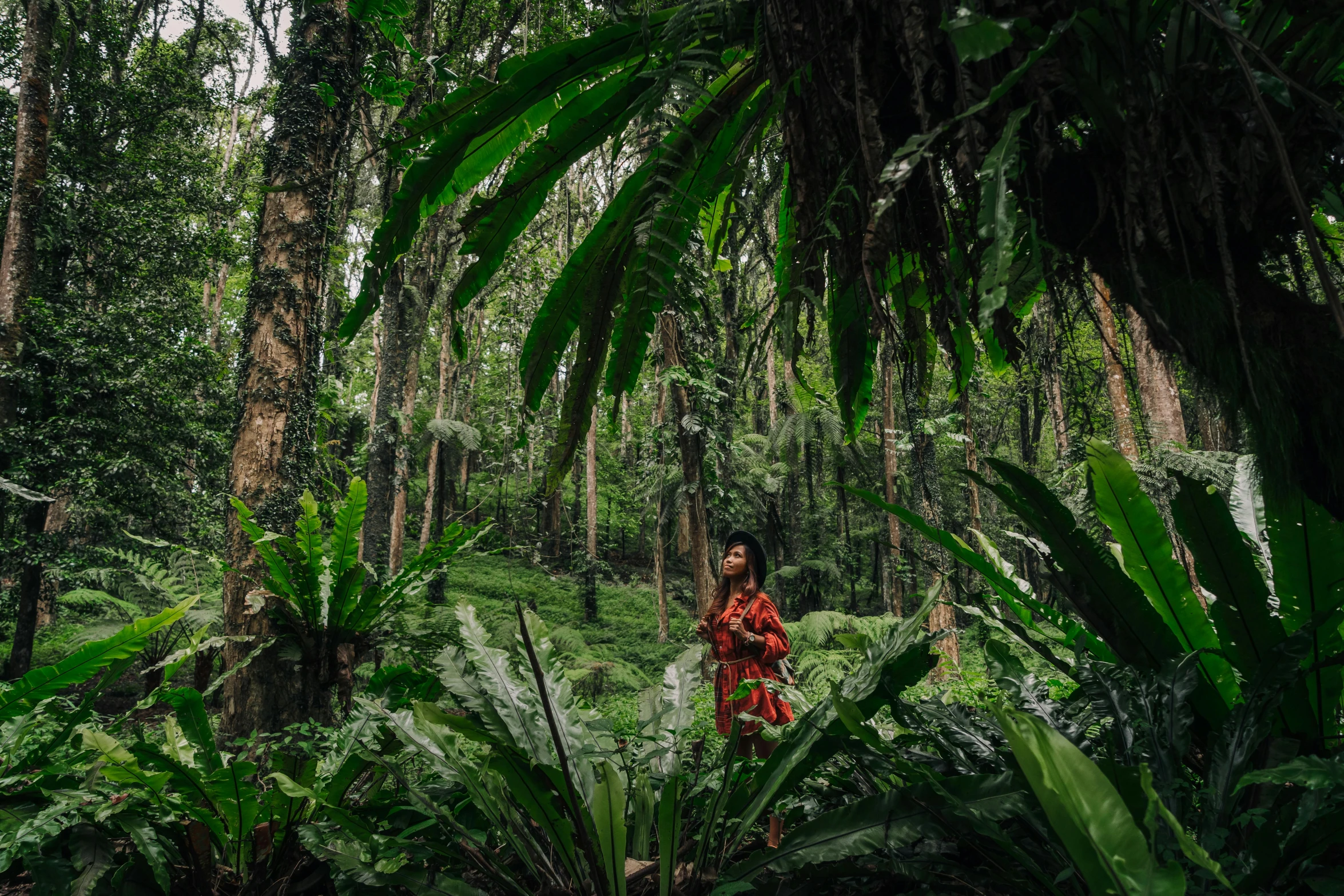 a woman standing in the middle of a forest, sumatraism, avatar image