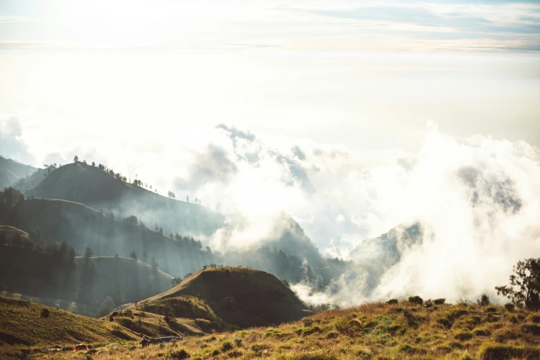 a horse standing on top of a lush green hillside, pexels contest winner, sumatraism, clouds of smoke, avatar image