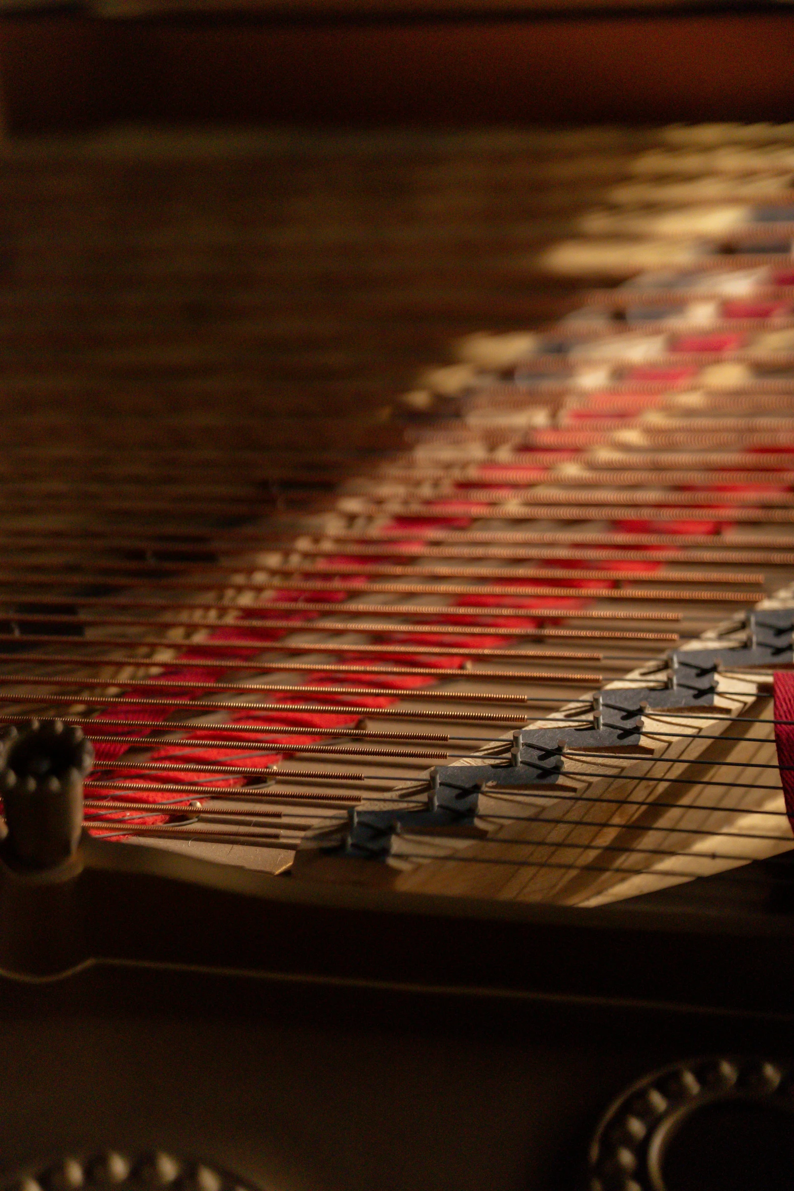 a close up of the keys of a piano, by David Simpson, caustics lighting from above, red and brown color scheme, paul barson, high-body detail